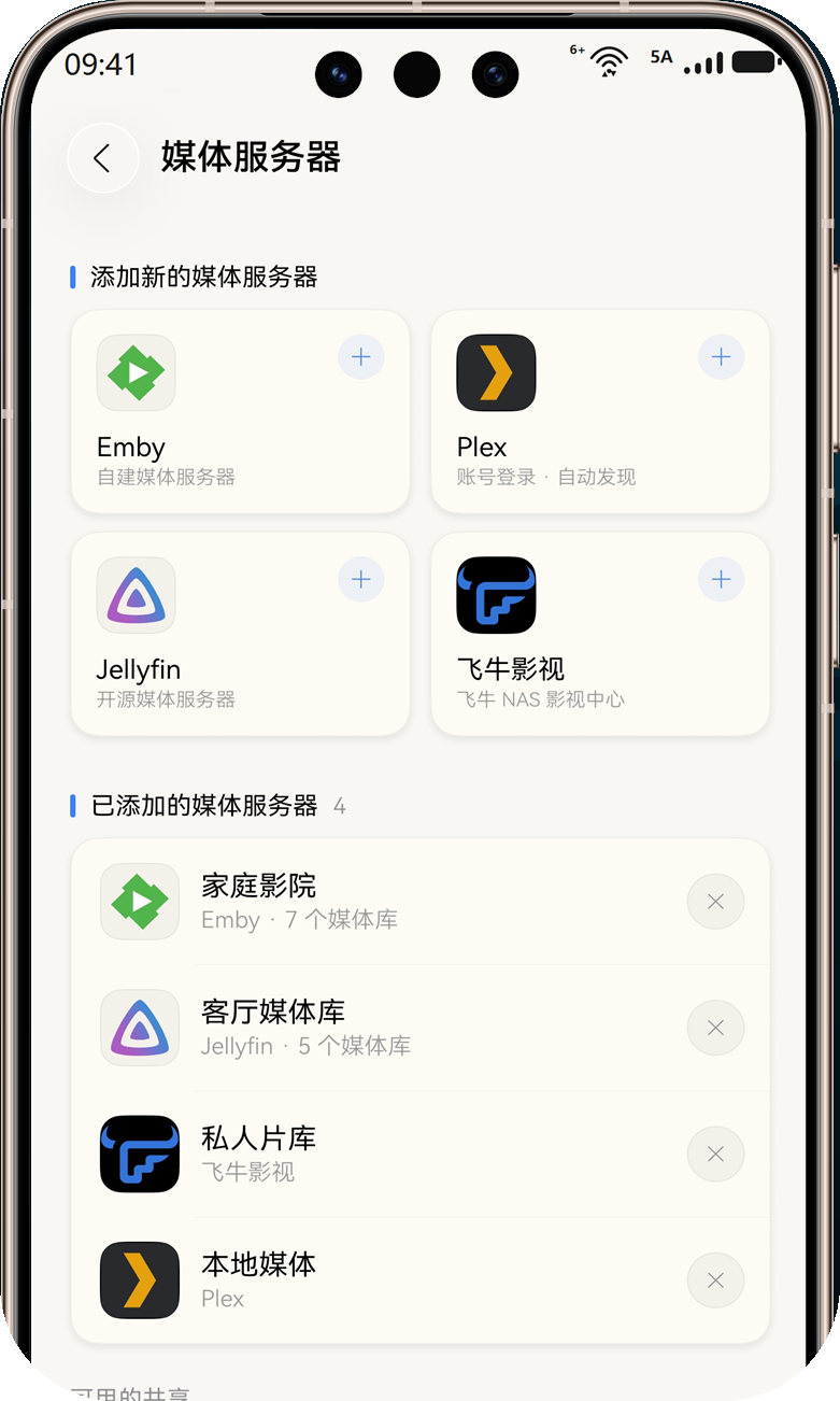 媒体服务器管理页面：已添加的四类服务器